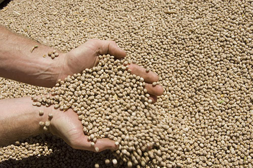 Pet food products for palletizing applications: fish food