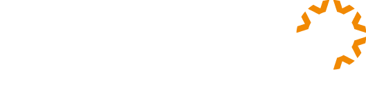 Verbruggen Palleizing Solutions website logo