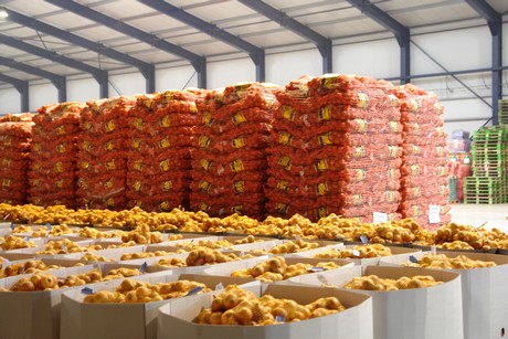 Food palletizing food palletizing robots
