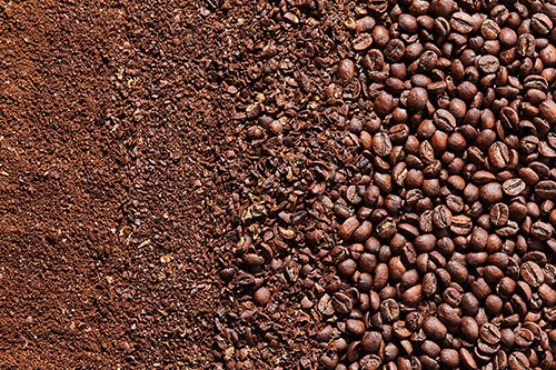 A Verbruggen machine efficiently coffee and cacoa