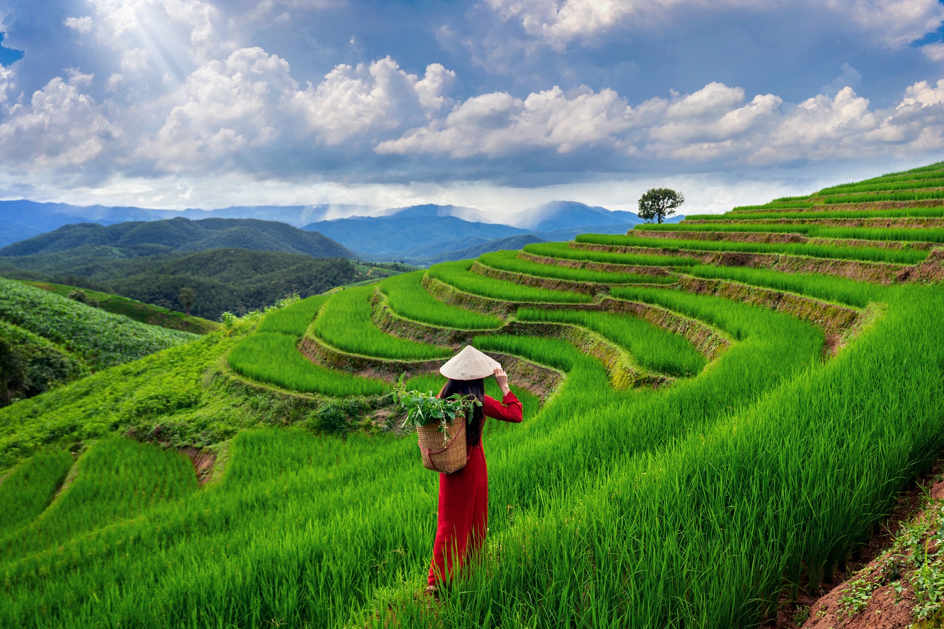 Propak Vietnam Verbruggen