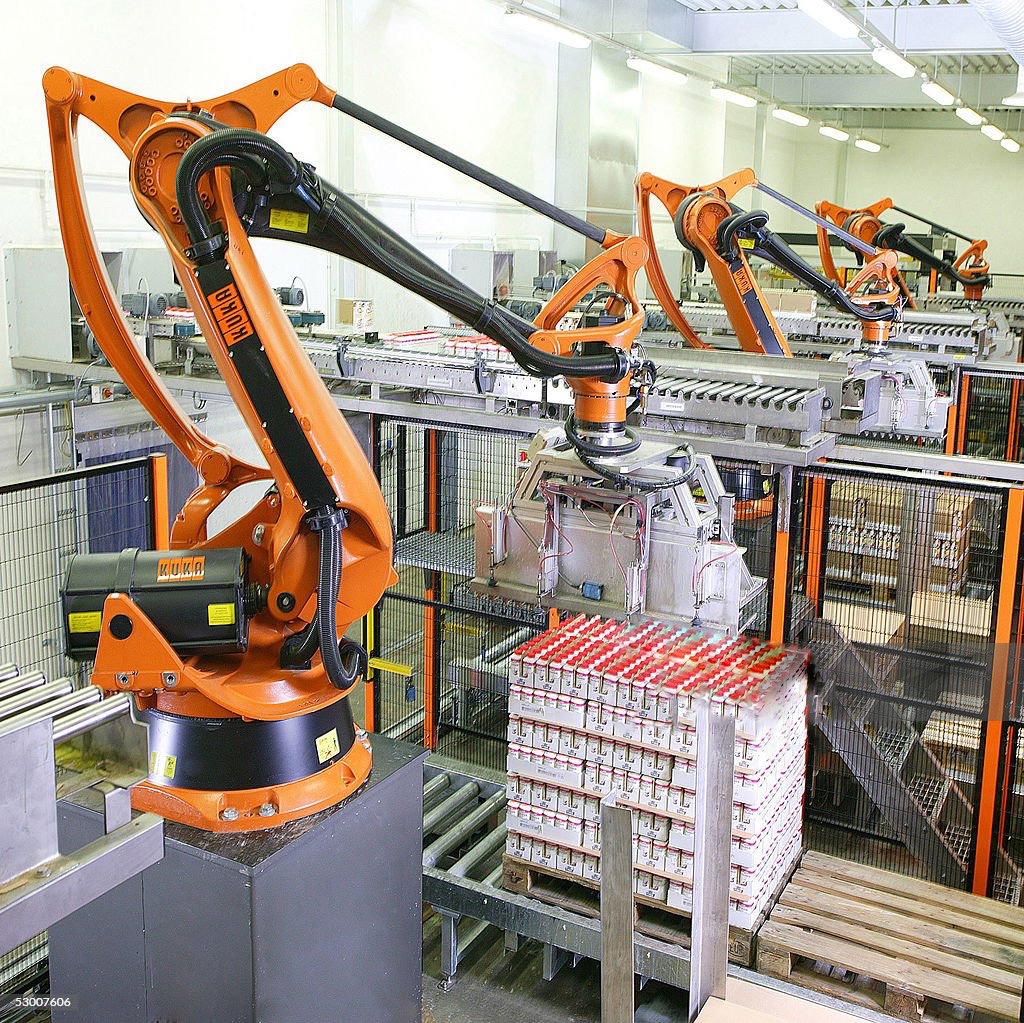 Palletizing Robot